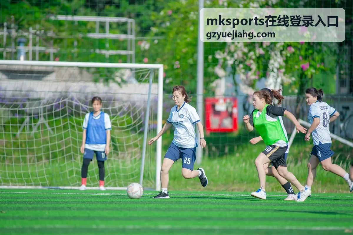 mksports在线登录入口账号验证与设备管理示意
