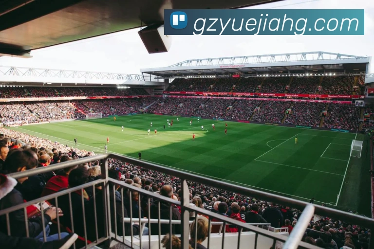 赛事专题整合